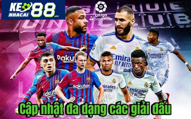 Cập nhật các giải pháp đa dạng