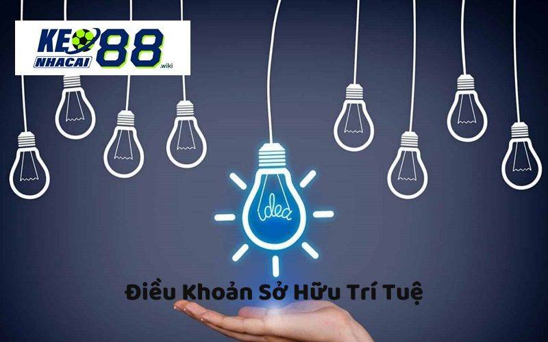 Điều khoản sở hữu trí tuệ