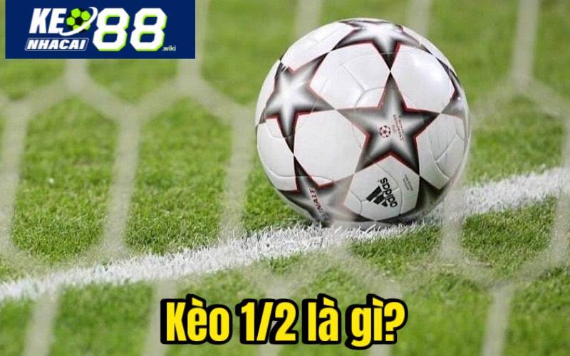 Kèo 1/2 là gì? Cách Đọc Kèo Và Kinh Nghiệm Cược Tại Keonhacai Kèo 1/2 là gì