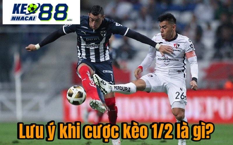 Kèo 1/2 là gì? Cách Đọc Kèo Và Kinh Nghiệm Cược Tại Keonhacai Lưu ý khi cược kèo 1/2 là gì