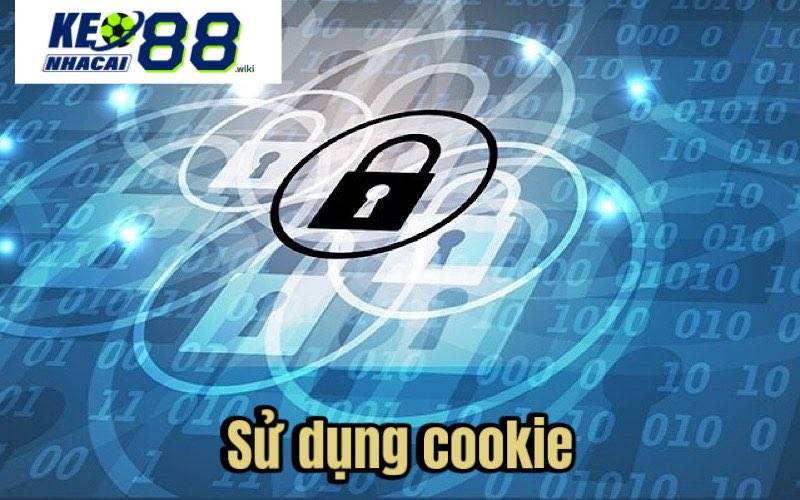 Sử dụng Cookie