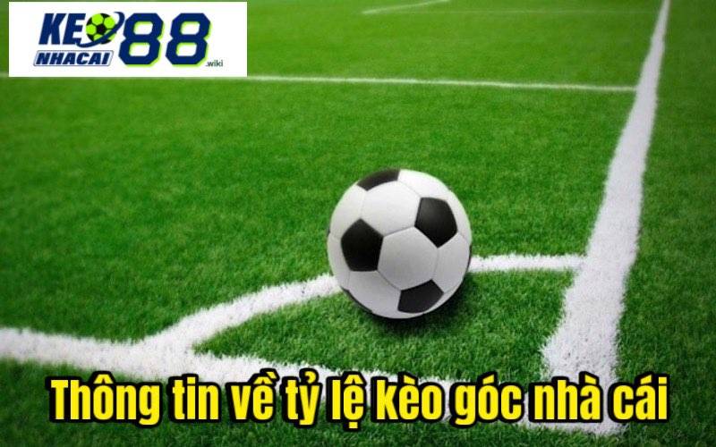 Tổng Hợp Tỷ Lệ Kèo Góc Nhà Cái Và Mẹo Chơi Thông tin về tỷ lệ kèo góc nhà cái