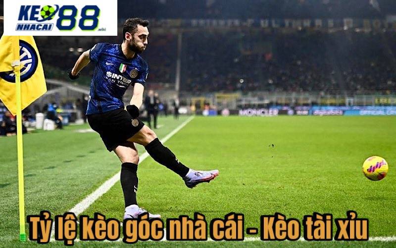 Tổng Hợp Tỷ Lệ Kèo Góc Nhà Cái Và Mẹo Chơi Tỷ lệ kèo góc nhà cái - Kèo tài xỉu