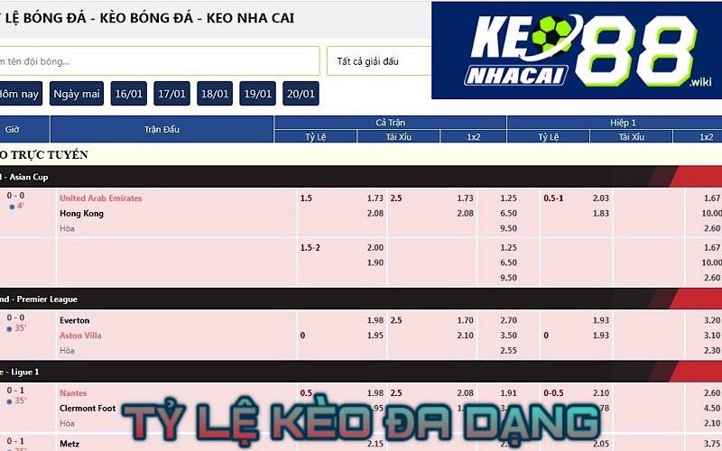 Đa dạng tỷ lệ