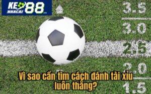 Vì sao cần tìm cách đánh tài xỉu luôn thắng