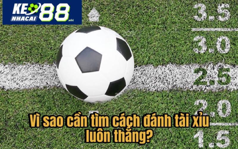 Bật Mí Cách Đánh Tài Xỉu Luôn Thắng Từ Cao Thủ Vì sao cần tìm cách đánh tài xỉu luôn thắng