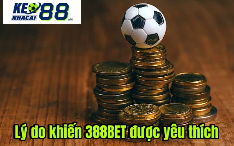 Tại nhà cái, bạn có thể đặt cược cho nhiều trận đấu bóng đá