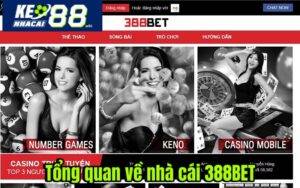 Tổng quan về 388BET