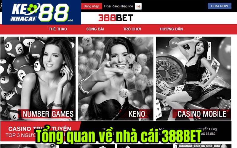 Tổng quan về 388BET