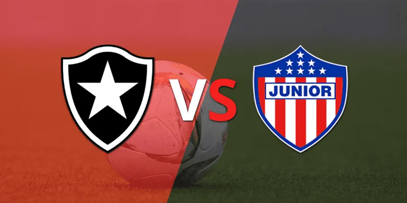Soi kèo trận đấu Atletico Junior vs Botafogo